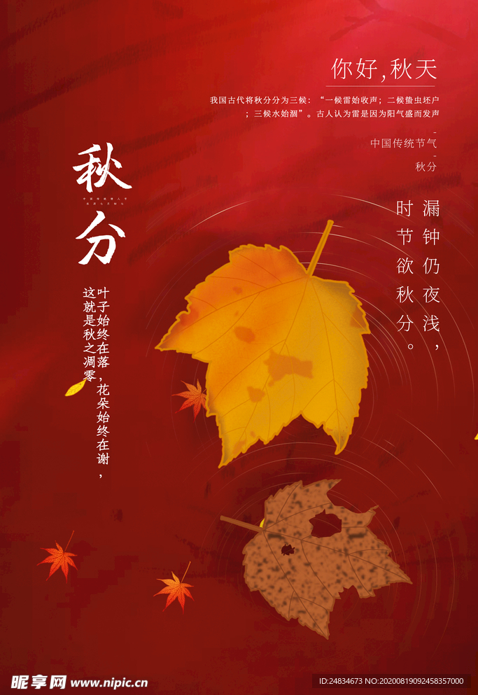 秋分