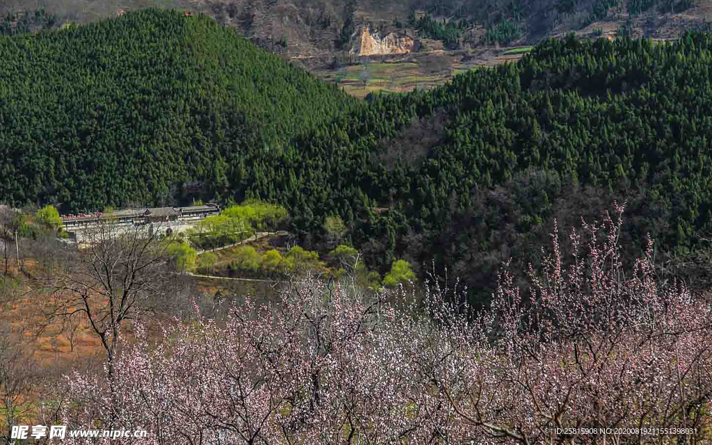 秦岭