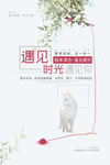 极简 文艺 背景 猫 毛球