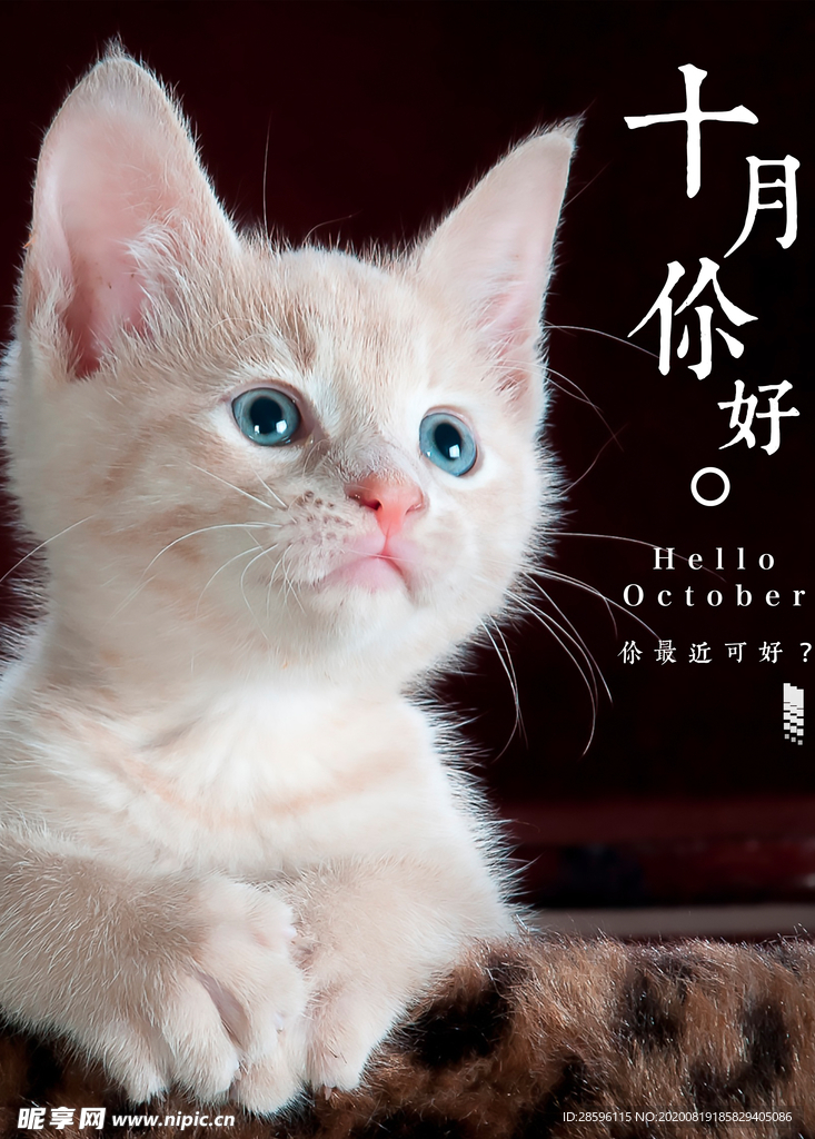 十月你好