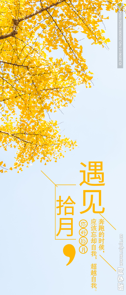十月你好