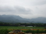 山村