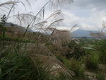 山村