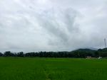 山村