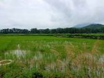 山村