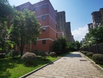 学校