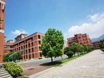 学校