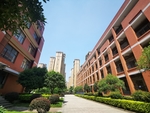 学校