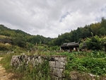 农村