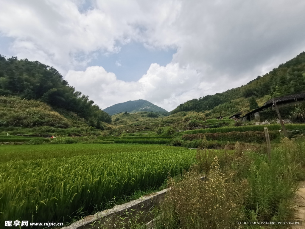 田园风光