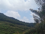 自然风光