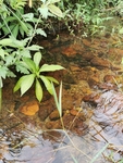 山涧