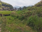农村