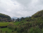 田园风光