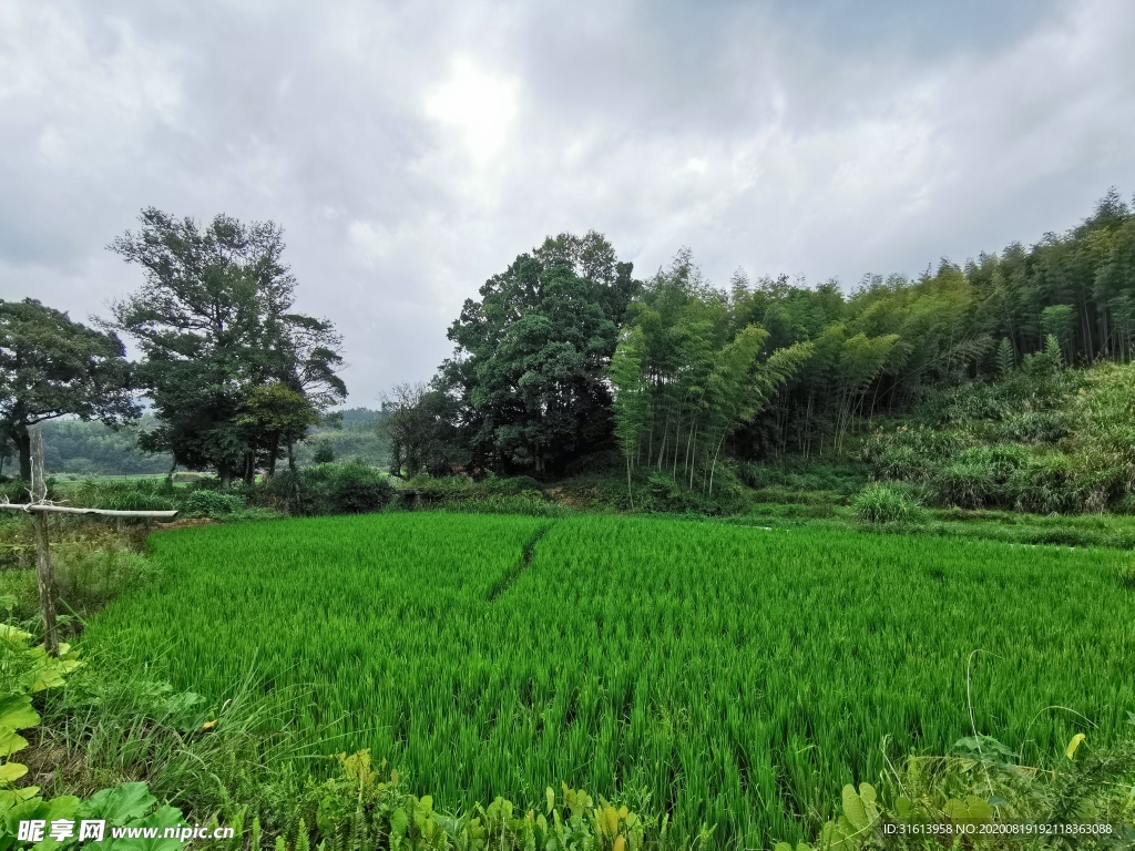 田园风光