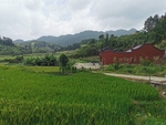 农村风光
