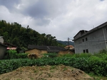 农村