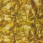 金色纹理