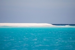 大海