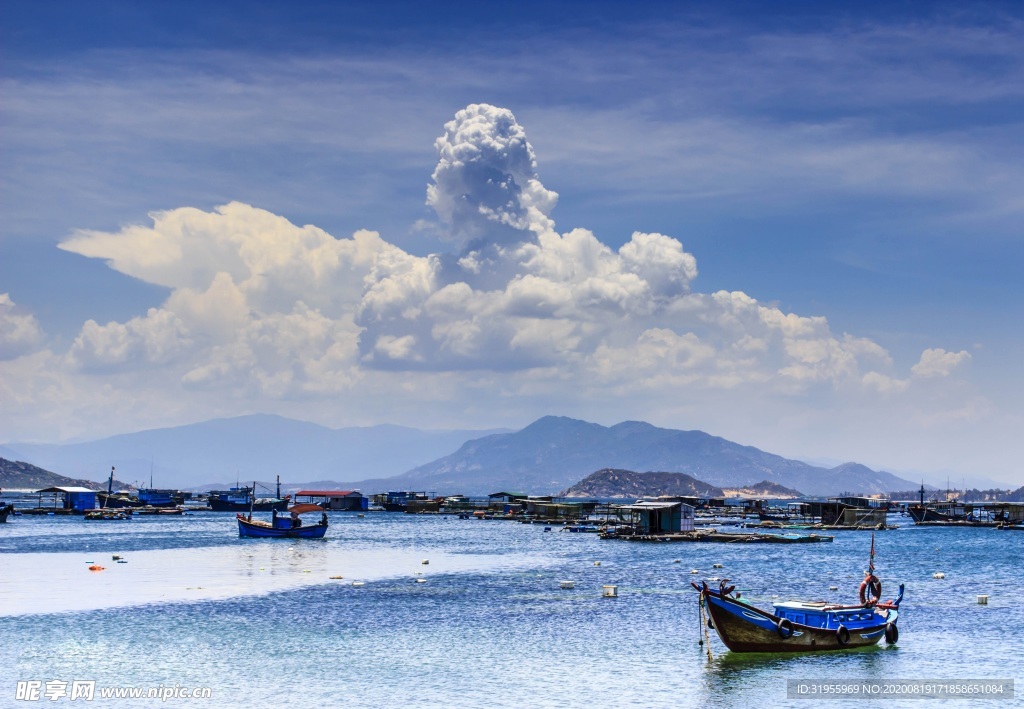 大海