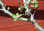 春暖花开