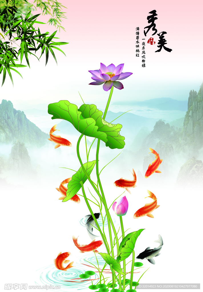 秀美 荷花 鲤鱼 图