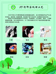 打印处理工艺