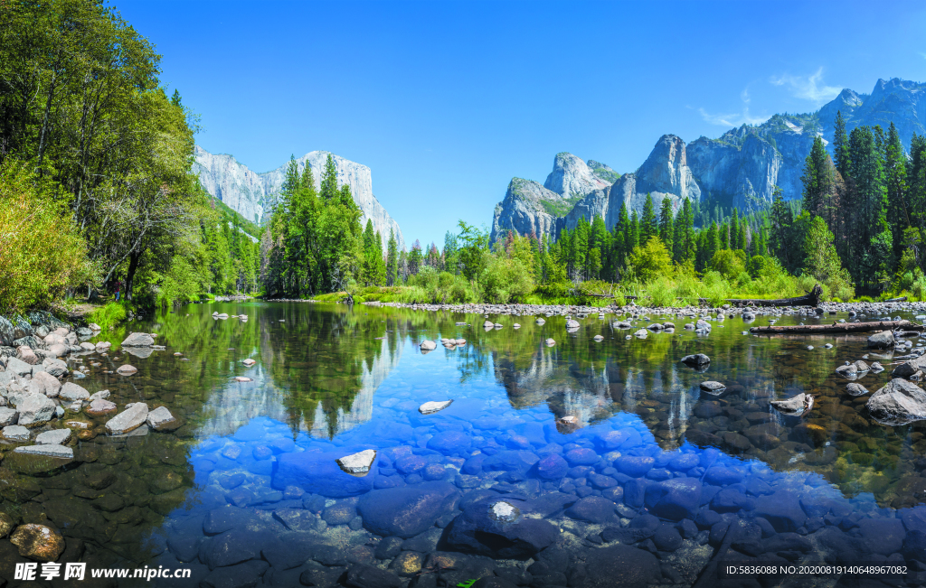 水清有鱼山水风景装饰画