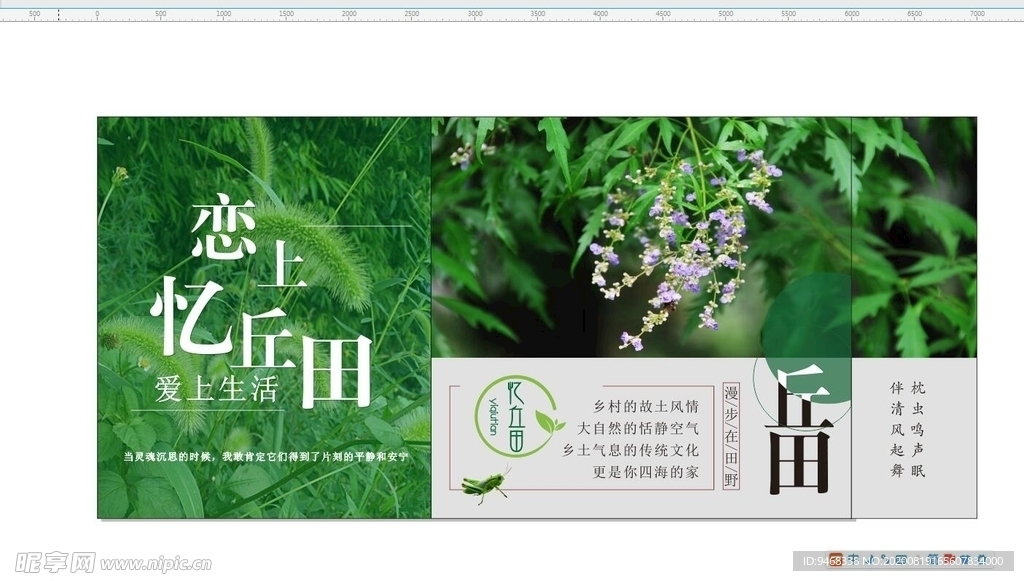 农家乐画面
