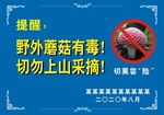 蘑菇有毒提醒