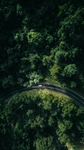 公路