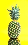 菠萝