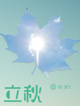 枫叶阳光