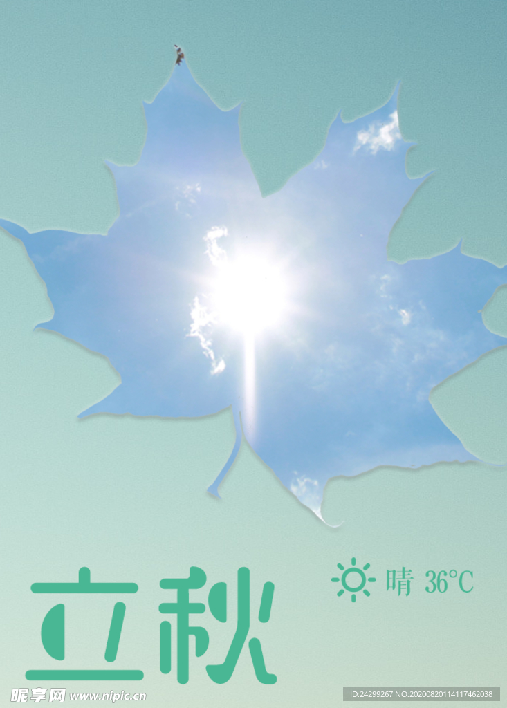 枫叶阳光