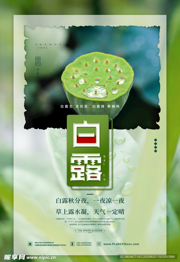 白露