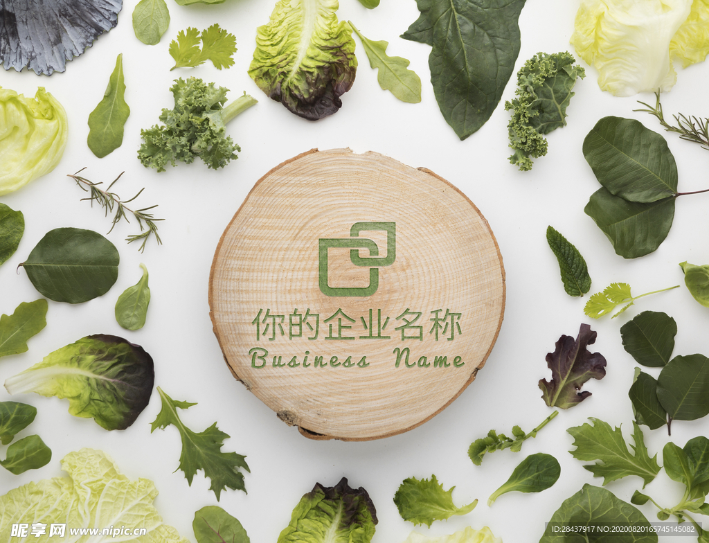 LOGO样机