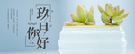九月你好