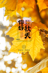 九月你好