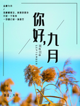九月你好
