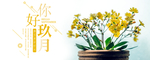 九月你好