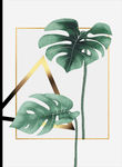 植物装饰画