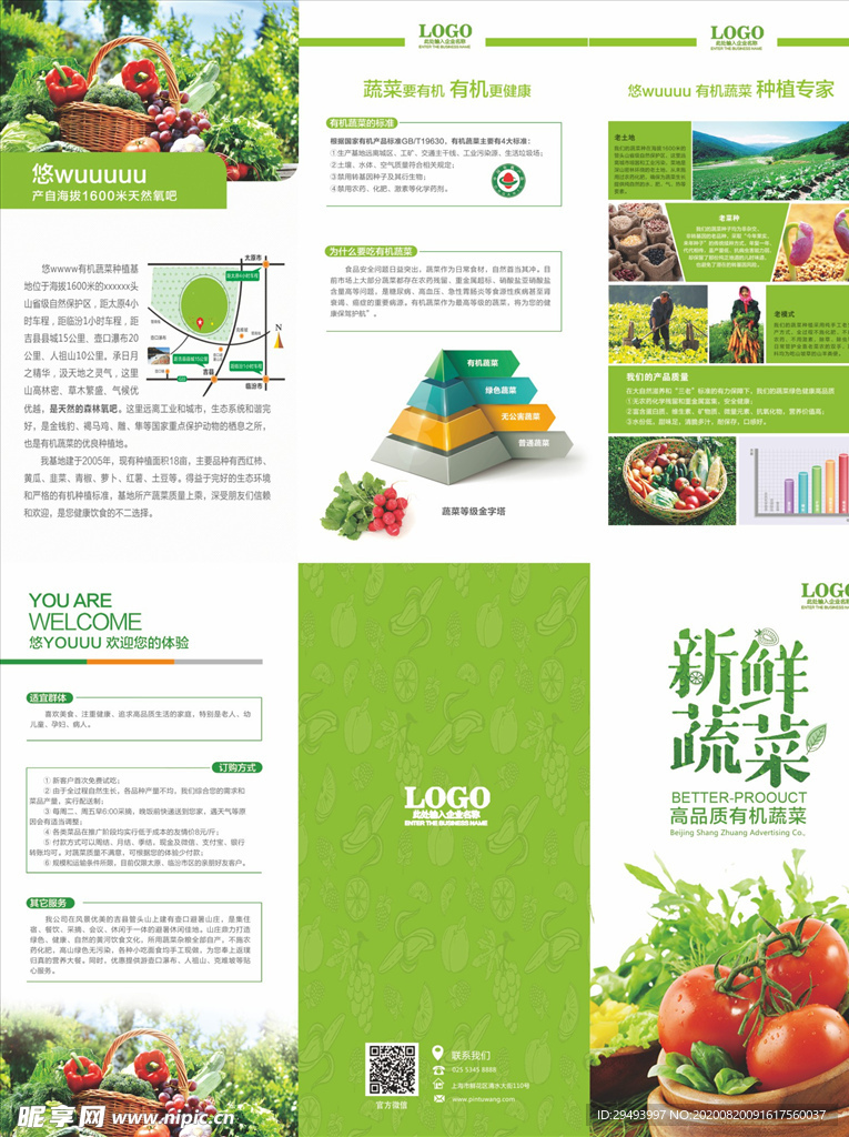 三折页模板