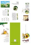 三折页模板