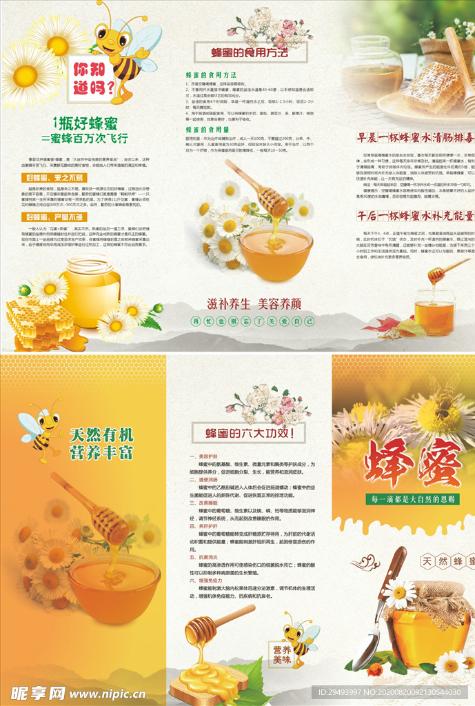 三折页模板