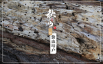 秋分三侯