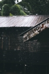 雨镇