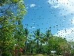 雨珠