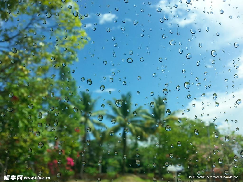 雨珠