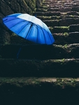 兰色雨伞