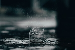 阴雨